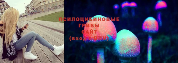 СК Арсеньев