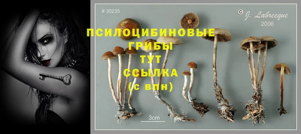 кристаллы Аркадак