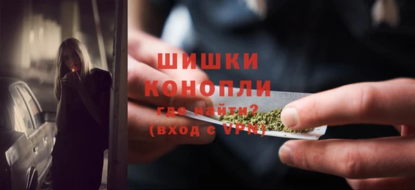 PSILOCYBIN Армянск