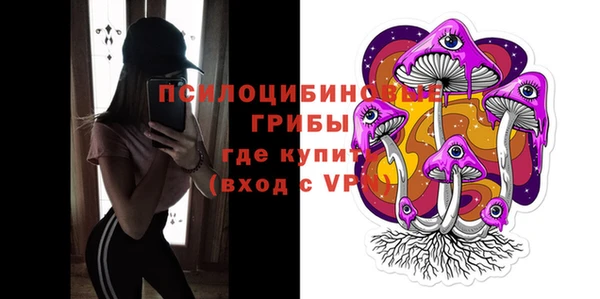 PSILOCYBIN Армянск