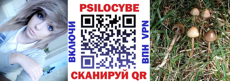 Псилоцибиновые грибы Magic Shrooms  Черняховск 