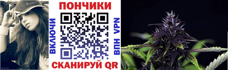 Конопля конопля  Черняховск 